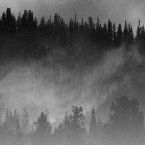 Vintlechkeit : Vilje og Død...